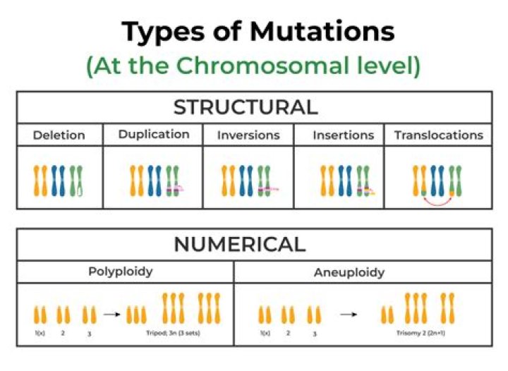 Are all types of mutation harmful?