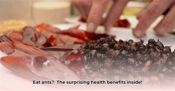 Are ants healthy to eat?