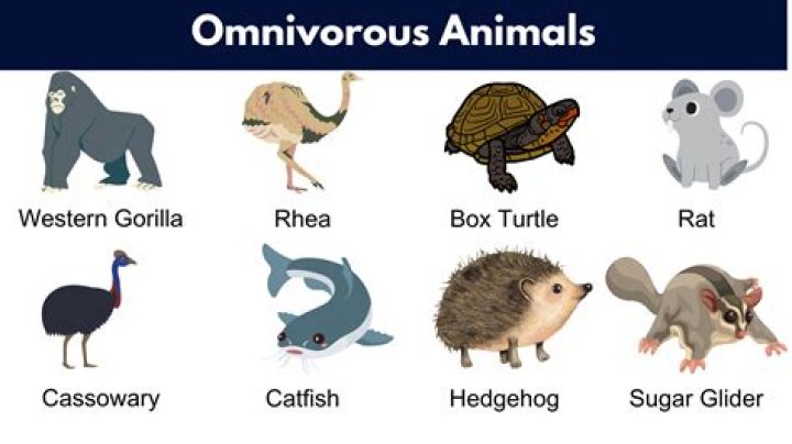 Are any snakes omnivores?