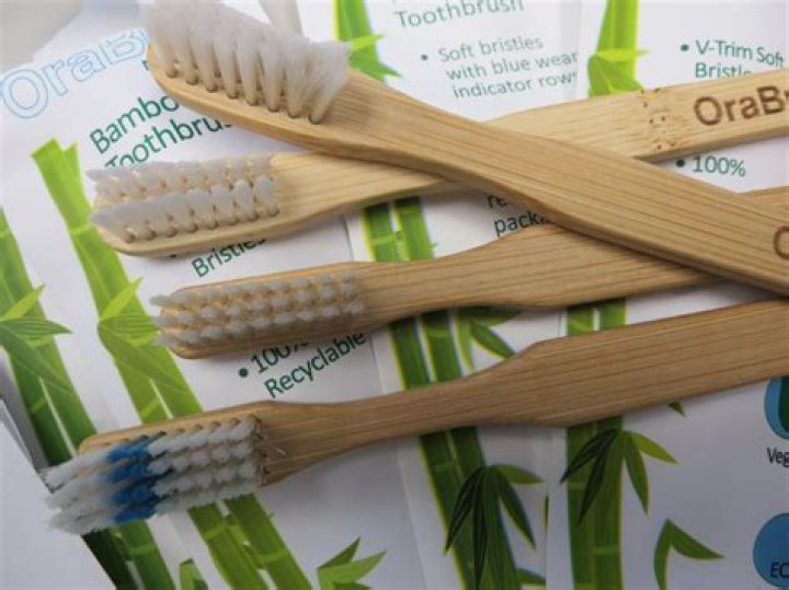 Are bamboo toothbrushes recyclable? | ContextResponse.com