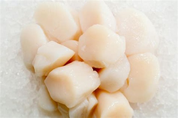 Are frozen scallops good?
