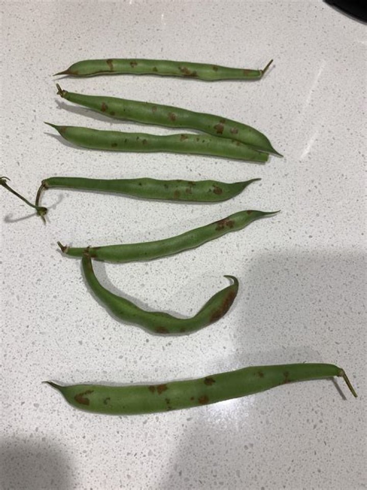 Are green beans OK if they have brown spots?