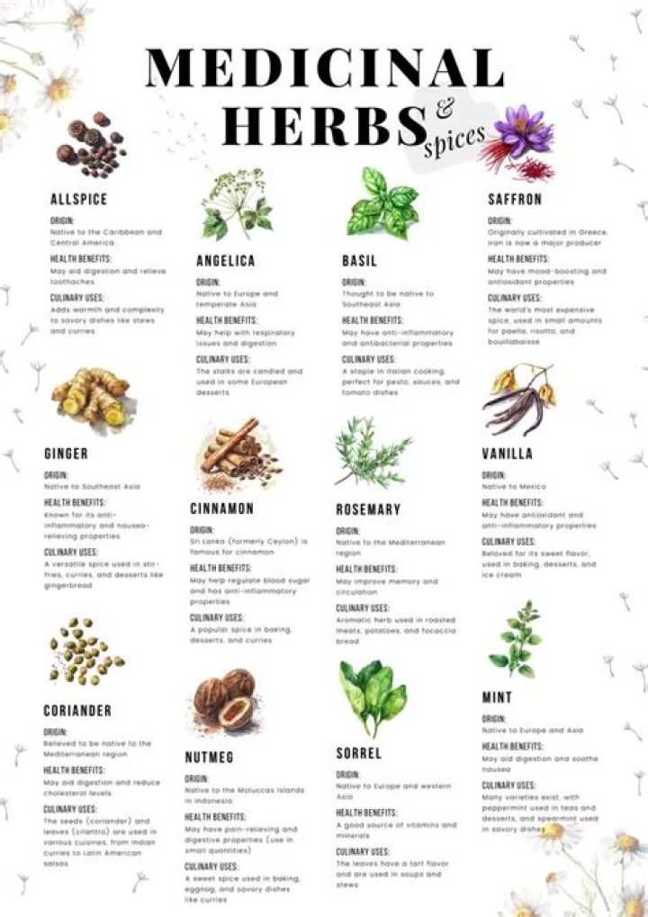 Are herbalists safe? | ContextResponse.com