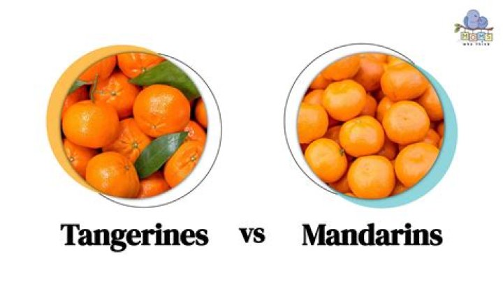 Are satsumas the same as mandarins?