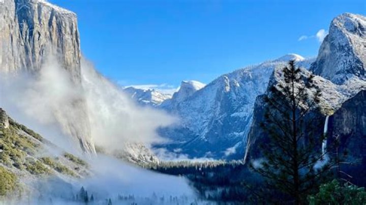 Are there moose in Yosemite National Park?