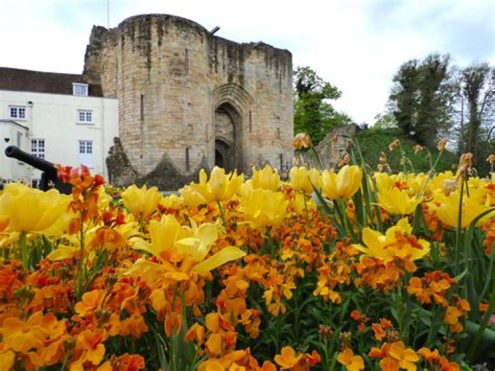 Are Tonbridge and Tunbridge Wells the same place?
