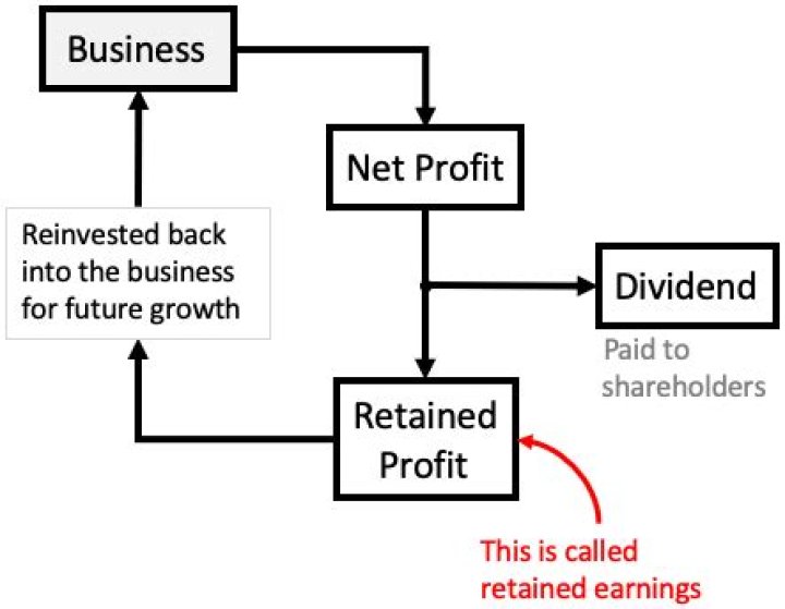 Can a company retain profits?