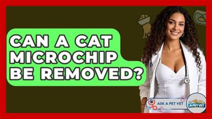 Can a microchip be removed from a cat?