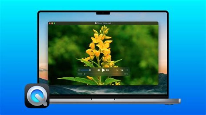 Can a QuickTime movie play on a PC?