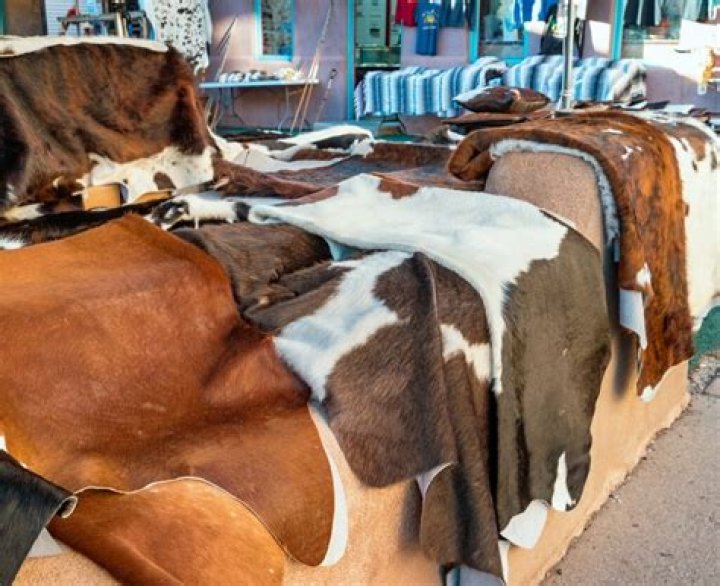 Can cowhide rugs be cleaned?