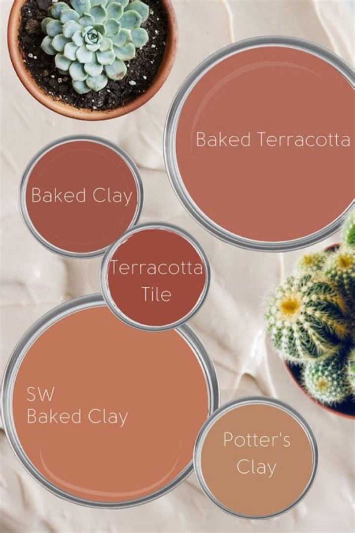 Can I paint terracotta? | ContextResponse.com