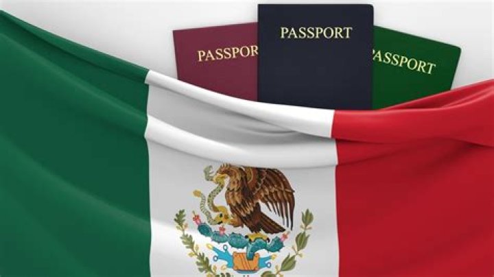 Can I renounce Mexican citizenship?