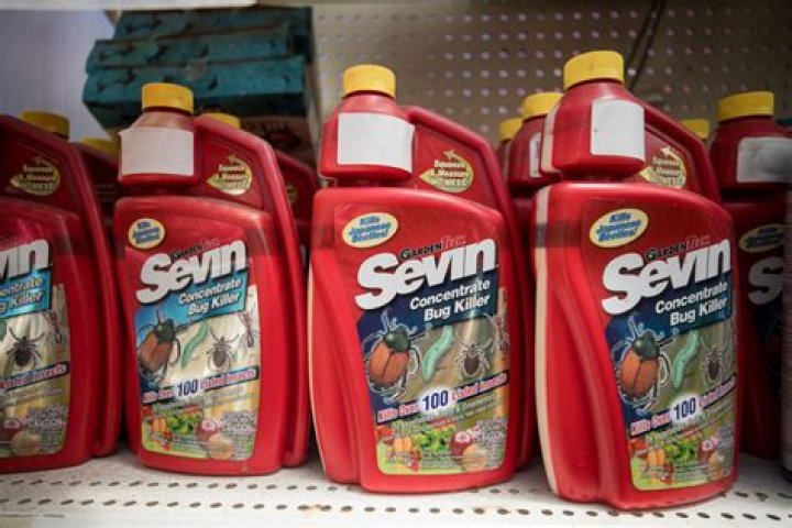 Can I use Sevin indoors?