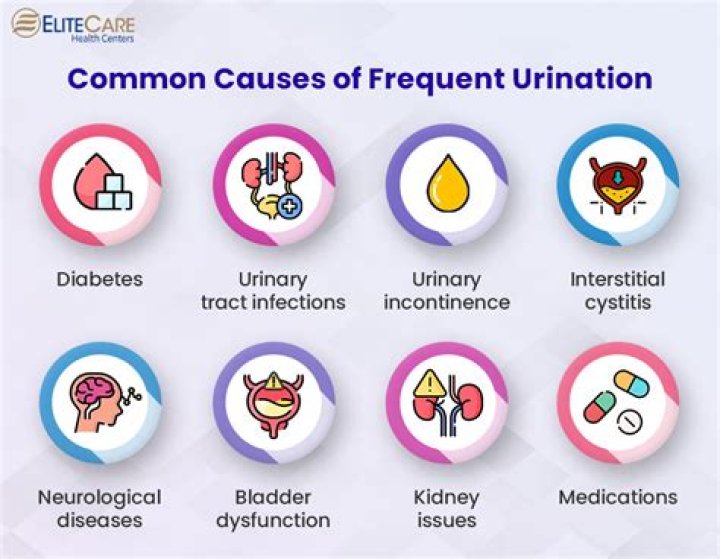 Can kidney problems cause frequent urination?