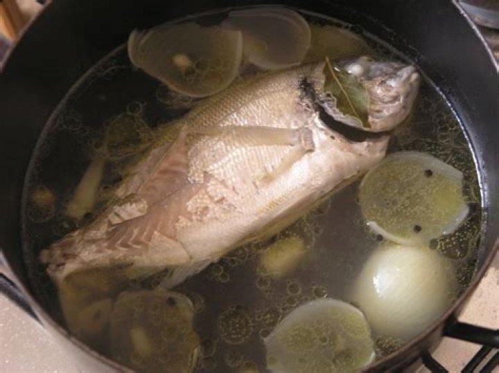 Can you boil fish from frozen?