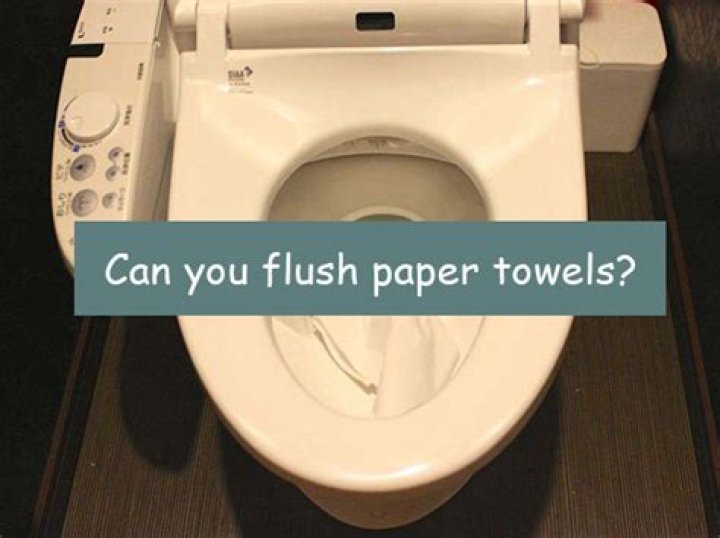 Can you flush tissue paper?