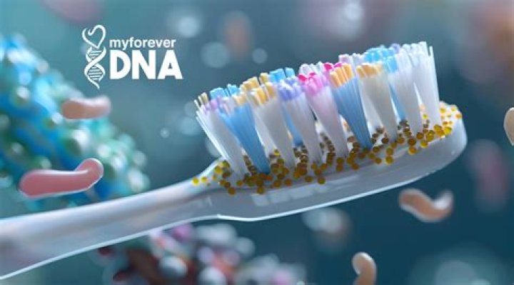 Can you get a DNA test from a toothbrush?