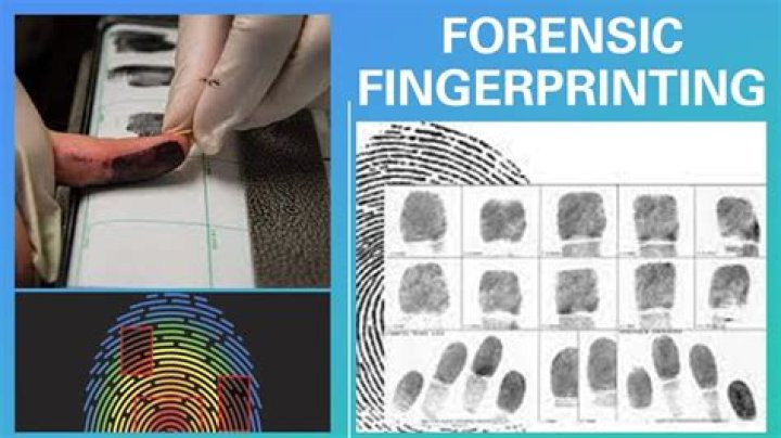 Can you get fingerprints off a rock?