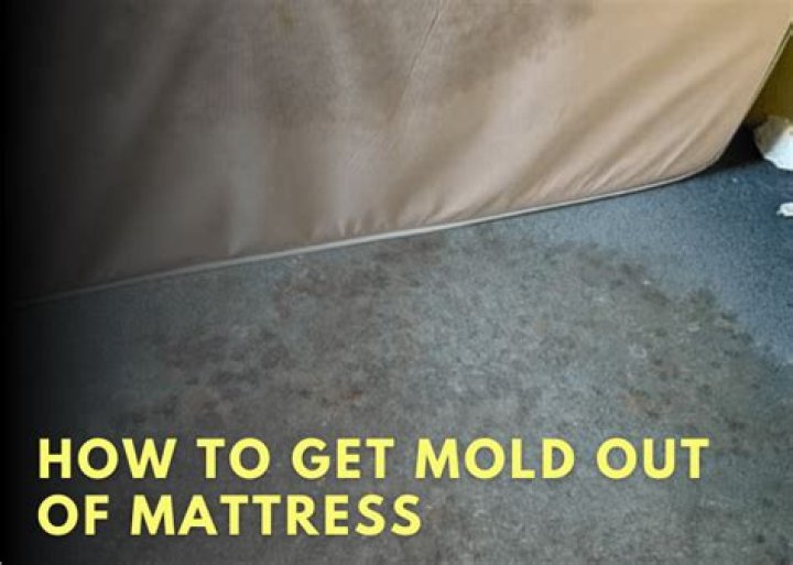 Can you get mold out of mattress?