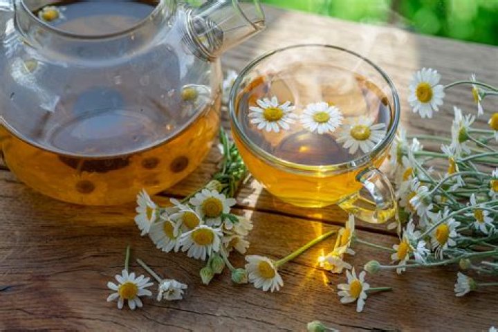 Can you give chamomile tea to a newborn?