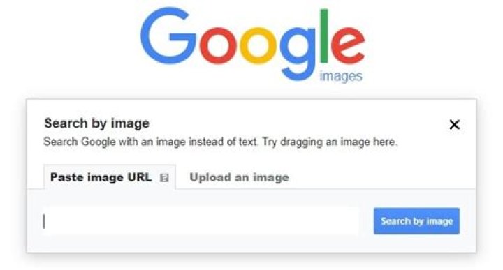 Can you Google Image Search from your phone?