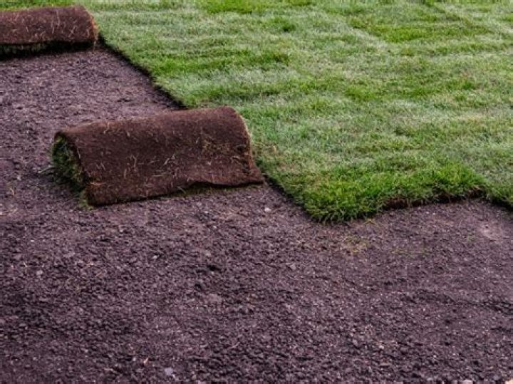 Can you lay sod in hot weather?