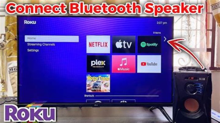 Can you pair any speaker to a Roku TV?