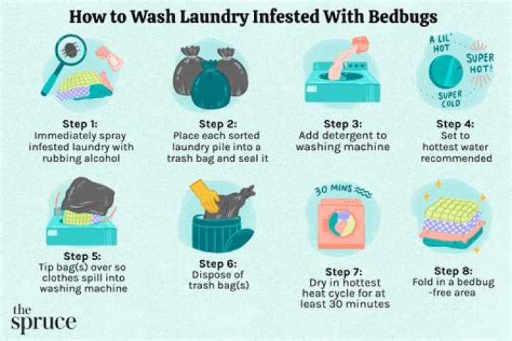 Can you wash bed bugs out of clothes?