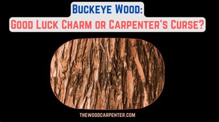 Can you wet sand painted wood?