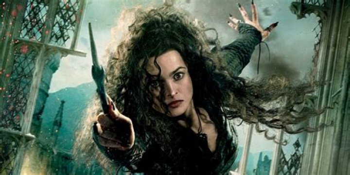 Did Bellatrix go to Hogwarts?