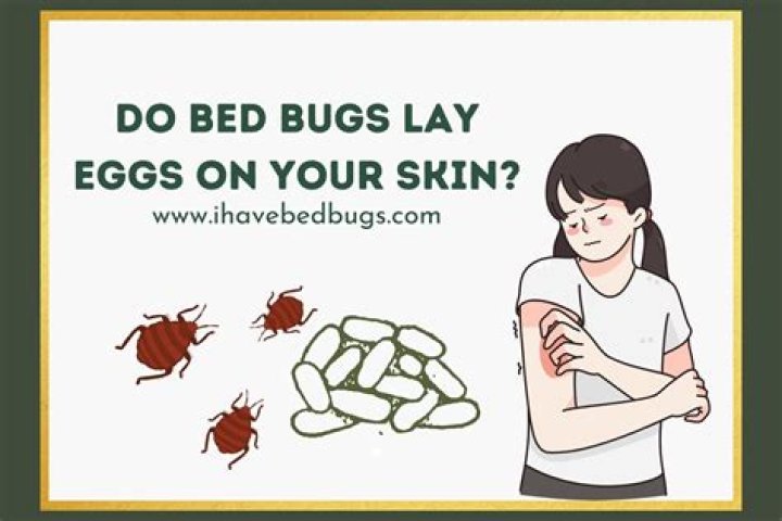 Do Bed Bugs stay in your skin?