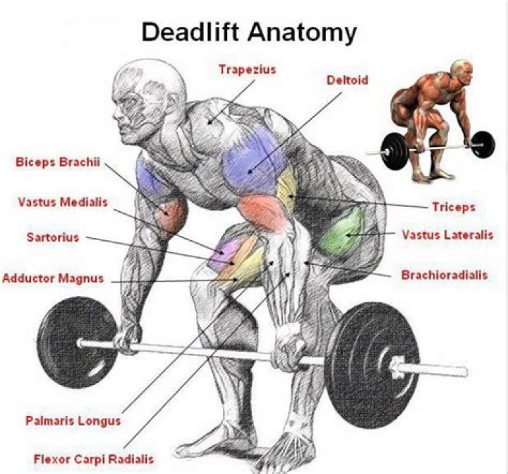 Do deadlifts build muscle?