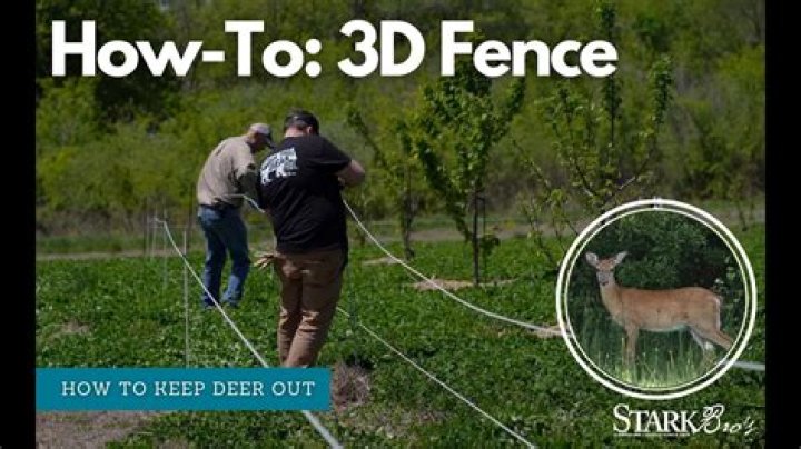 Do fences keep deer out?