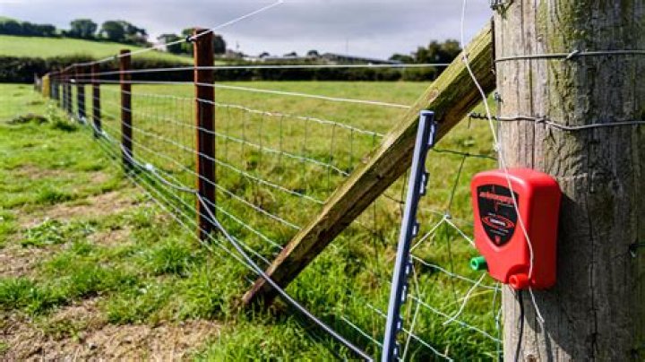 Do horses need electric fence?