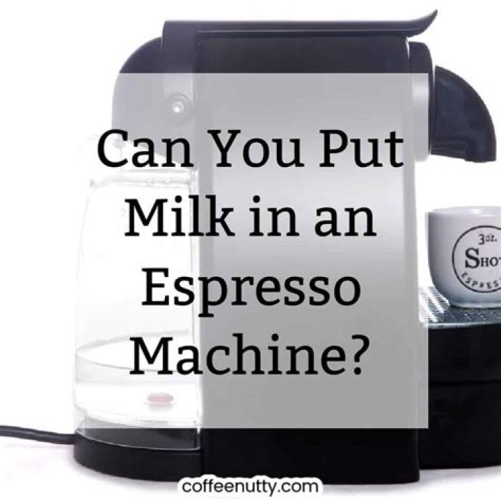 Do you put milk in espresso?