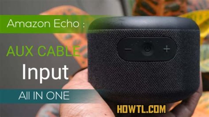 Does Amazon Echo have aux input?