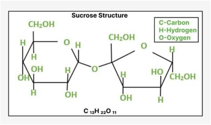 Does c12h22o11 ionize in water?