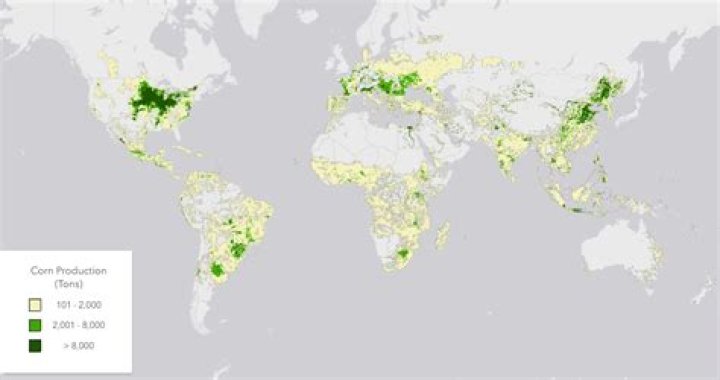 Does corn grow in Africa?