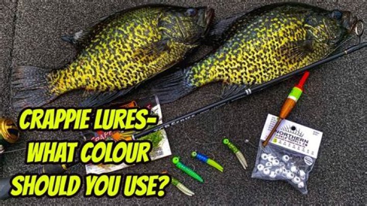 Does lure affect treasure?