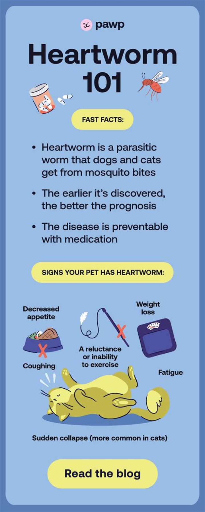 Does my cat have heartworm?