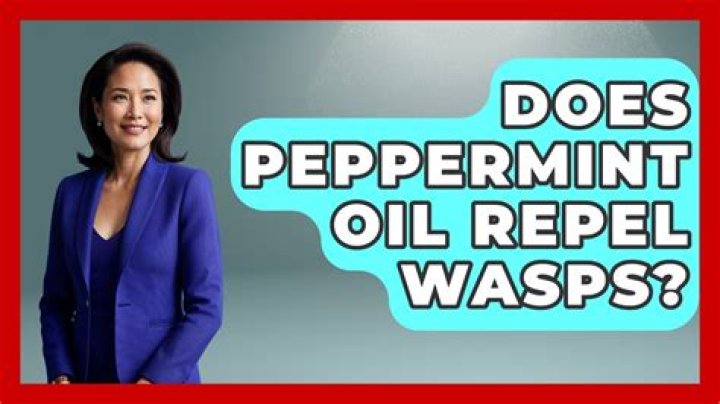 Does peppermint oil repel wasps?