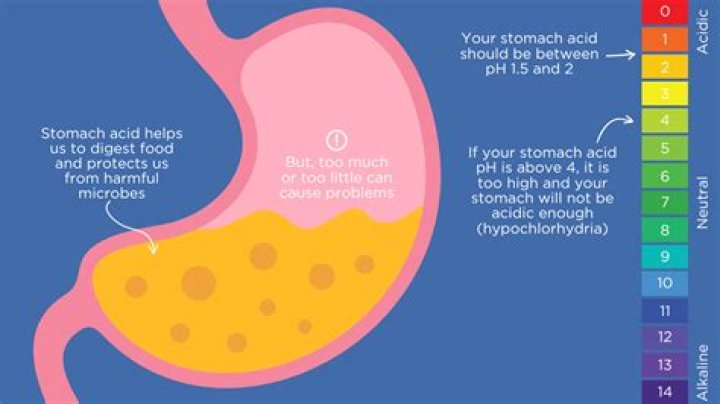 Does water dilute your stomach acid?