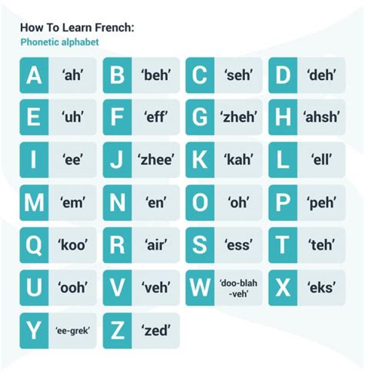 How can I learn French vocabulary?