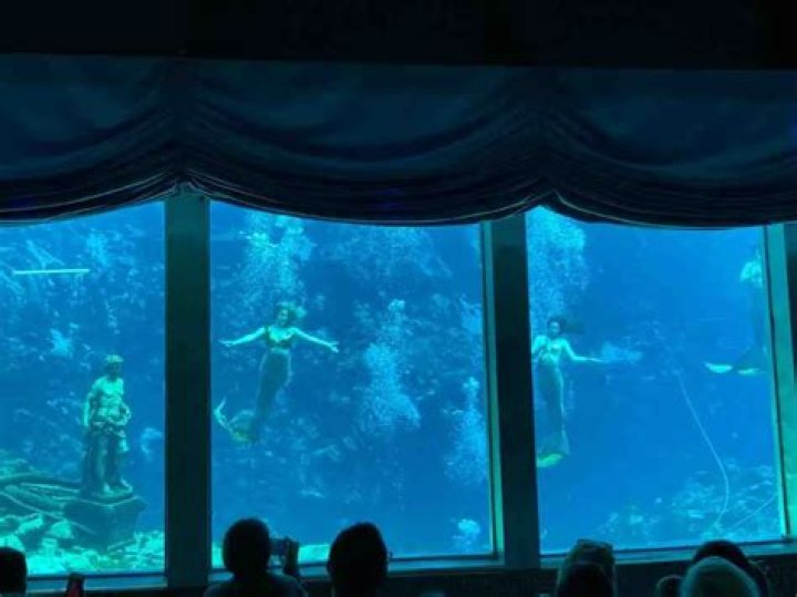How cold is the water at Weeki Wachee?