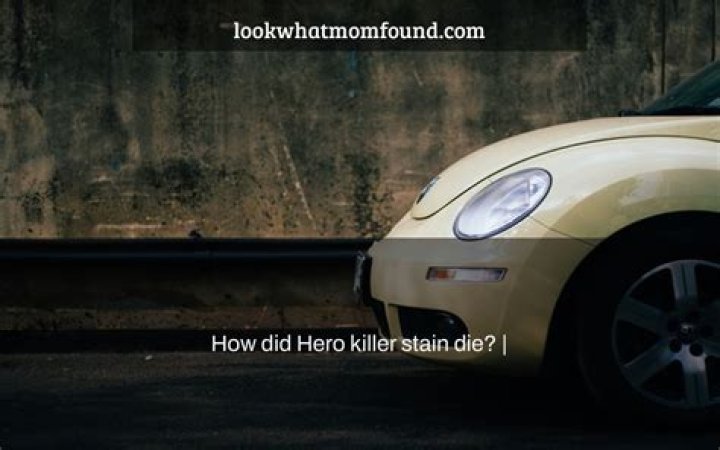 How did Hero killer stain die?