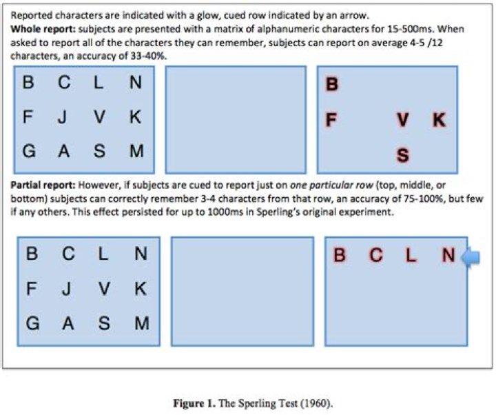 How did Sperling test sensory memory?