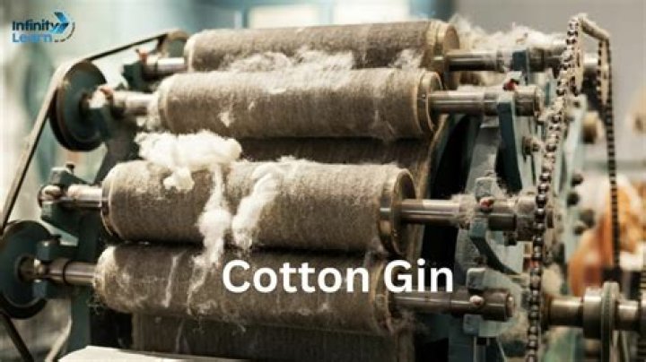 How did the cotton gin change how cotton was processed?