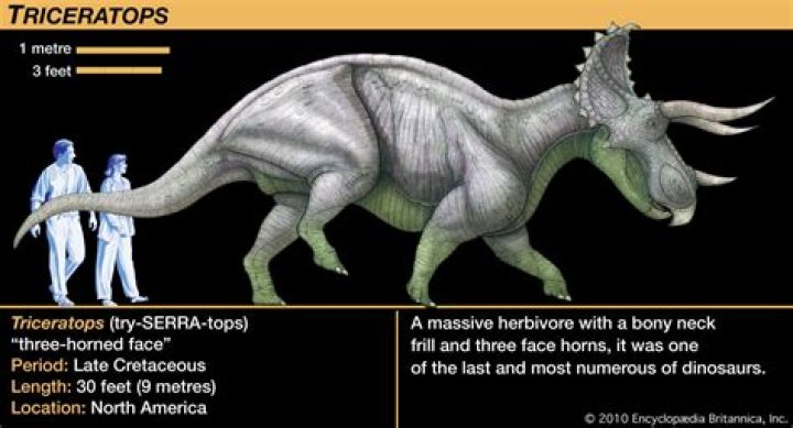 How did the triceratops go extinct?