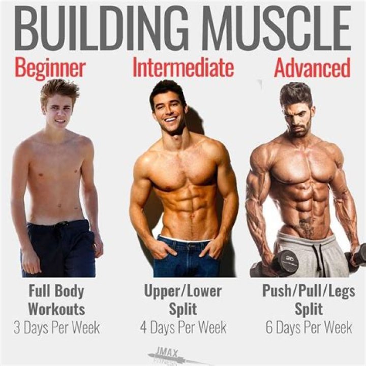 How do I build muscle and look lean?