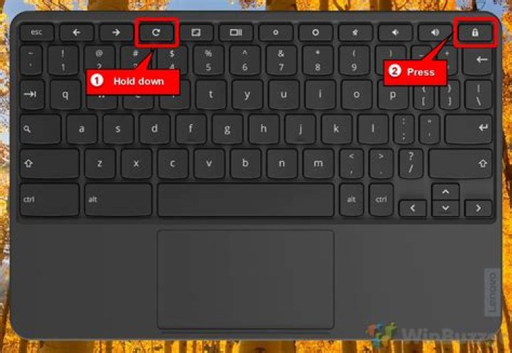 How do I clean out my Chromebook?